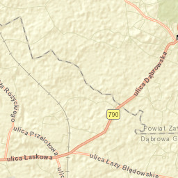 Niegowonice Street Map