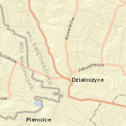 Działoszyce Street Map