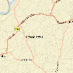 Borowa Street Map
