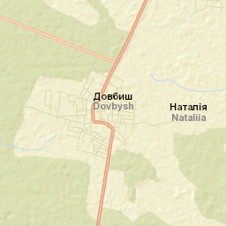 Dovbysh Street Map