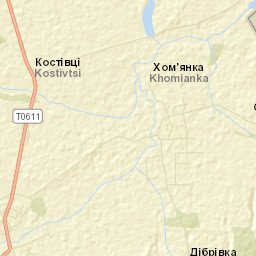Lazarivka Street Map