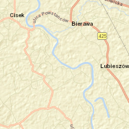 Cisek Street Map