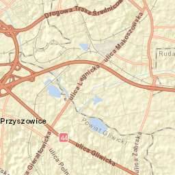 Przyszowice Street Map