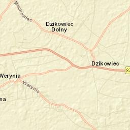 Dzikowiec Street Map