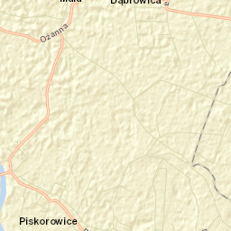 Piskorowice Street Map