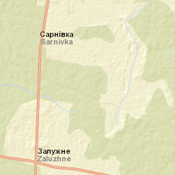Zaluzhne Street Map