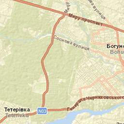 Zhytomyr Raion Street Map