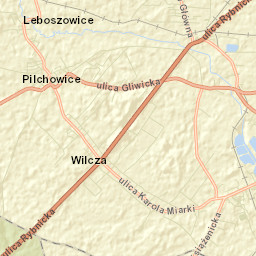 Wilcza Street Map