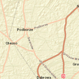 Olesno Street Map