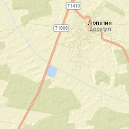 Lopatyn Street Map