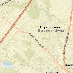Vasylkiv Street Map