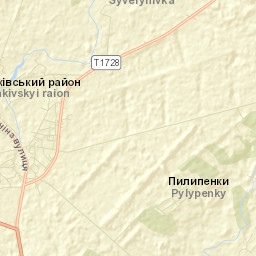 Zinkiv Street Map