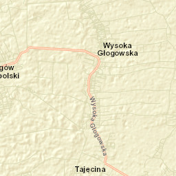 Wysoka Głogowska Street Map
