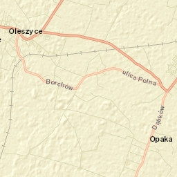 Oleszyce Street Map