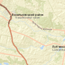 Vasylkiv Raion Street Map