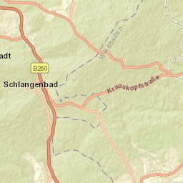 Schlangenbad Street Map