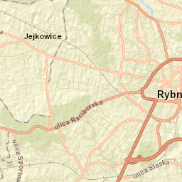 Niedobczyce Street Map