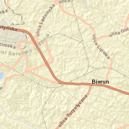 Bieruń Street Map