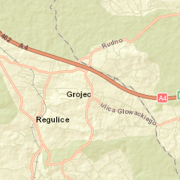 Regulice Street Map