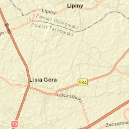 Lisia Góra Street Map