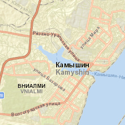 Kamyshin Street Map