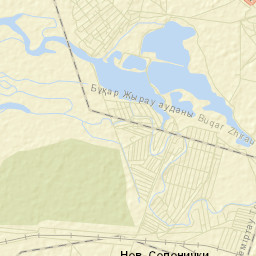 Tokarevka Street Map