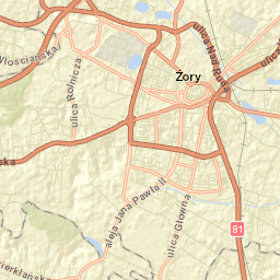 Żory Street Map