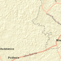 Bojszowy Nowe Street Map