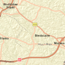 Mszana Street Map