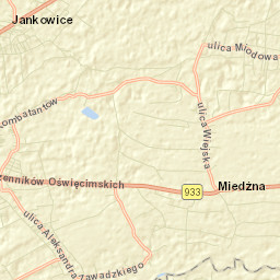 Miedźna Street Map