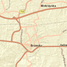 Jasień Street Map