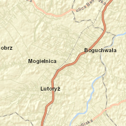 Boguchwała Street Map