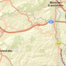 Waldalgesheim Street Map