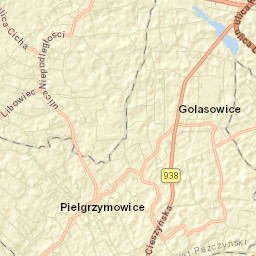Pielgrzymowice Street Map