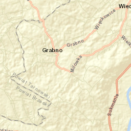 Wielka Wieś Street Map