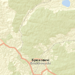 Bryukhovychi Street Map