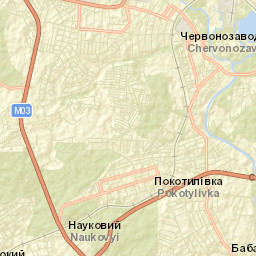 Pokotylivka Street Map