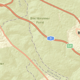 Bischbrunn Street Map