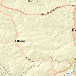 Dynów Street Map