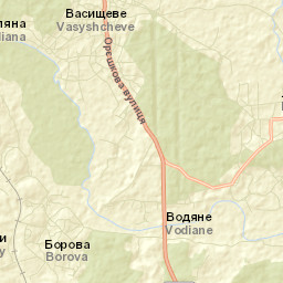 Vasyshcheve Street Map