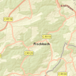 Fischbach Street Map