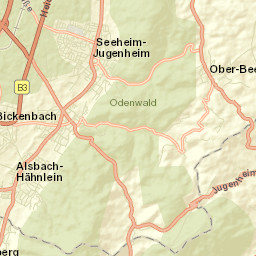 Bickenbach Street Map