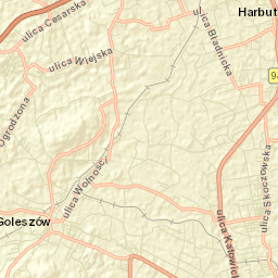 Powiat cieszyński Street Map