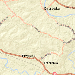 Trzcinica Street Map