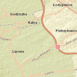 Leśna Street Map