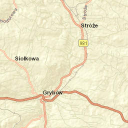 Grybów Street Map