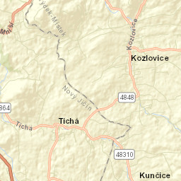 Kozlovice Street Map