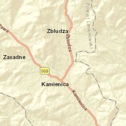 Kamienica Street Map