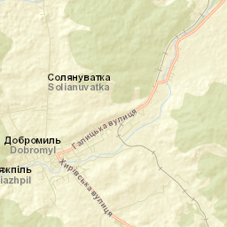 Dobromyl’ Street Map