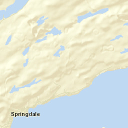 Springdale Street Map